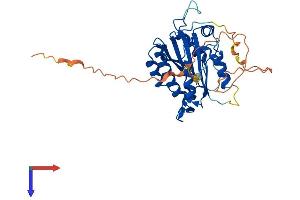 AlphaFold protein structure predicition of Mouse Recombinant Babam1 Protein, UniprotID Q3UI43