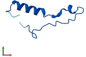 AlphaFold protein structure predicition of Human Recombinant RPL39L Protein, UniprotID Q96EH5