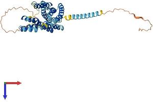 AlphaFold protein structure predicition of Human Recombinant GPR132 Protein, UniprotID Q9UNW8