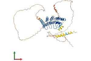 AlphaFold protein structure predicition of Human Recombinant ANKRD10 Protein, UniprotID Q9NXR5