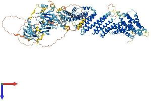 AlphaFold protein structure predicition of Mouse Recombinant Edrf1 Protein, UniprotID Q6GQV7