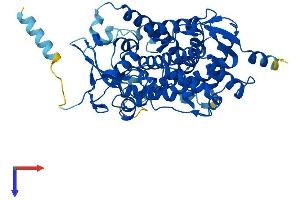 AlphaFold protein structure predicition of Mouse Recombinant Cyp17a1 Protein, UniprotID P27786