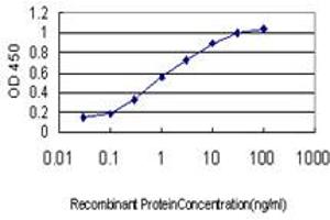 Detection limit for recombinant GST tagged CAPZB is approximately 0. (CAPZB anticorps  (AA 192-272))