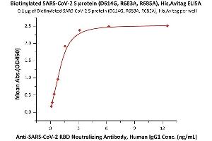 Immobilized Biotinylated SARS-CoV-2 S protein (D614G), His,Avitag, Super stable trimer (Cat. (SARS-CoV-2 Spike Protein (D614G, Super Stable Trimer) (His tag,AVI tag,Biotin))