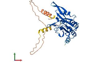 AlphaFold protein structure predicition of Human Recombinant CTDSP2 Protein, UniprotID O14595