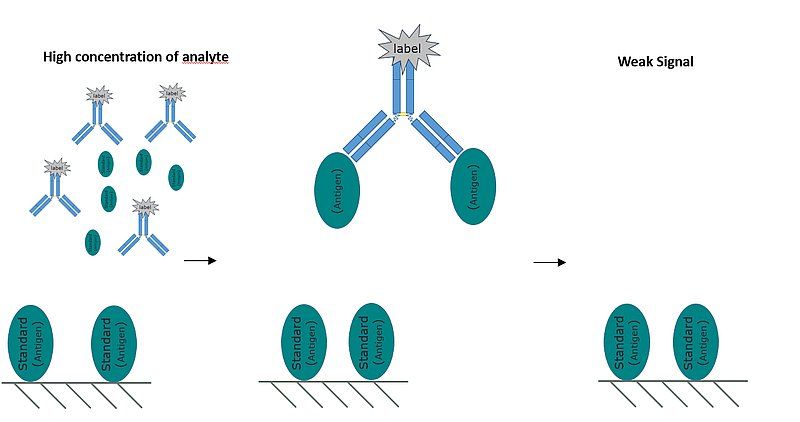 Représentation d'un ELISA compétitif