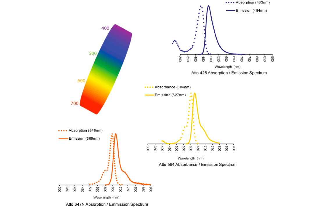 Antibody Conjugation: Emission Spectra of Conjugates