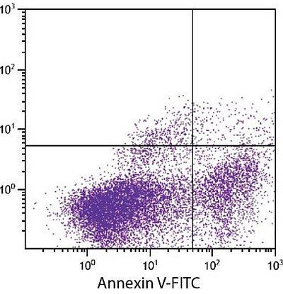 Exemple de réactifs de cytométrie en flux